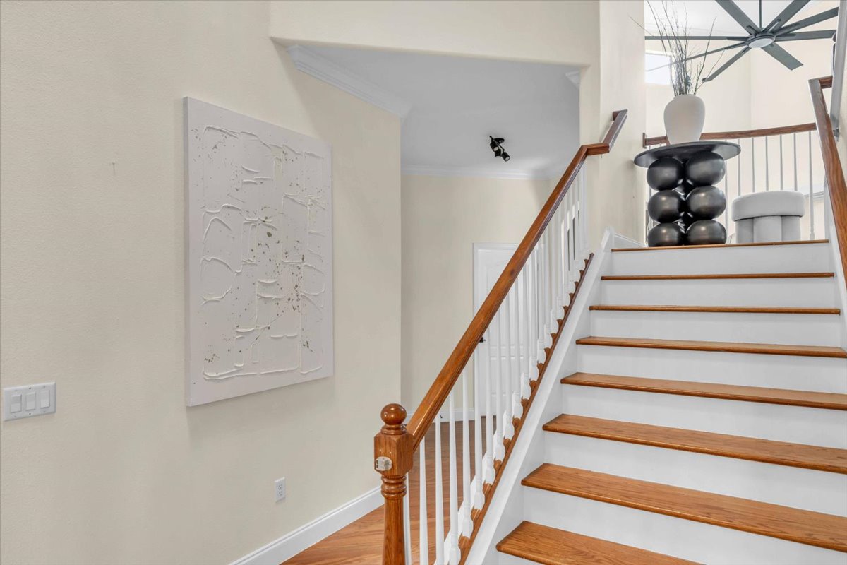 The Mason Butterfly · interior view 6 of 20 · design by Laura Pinzón, Tampa FL