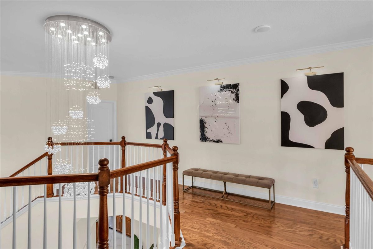 The Mason Butterfly · interior view 17 of 20 · design by Laura Pinzón, Tampa FL