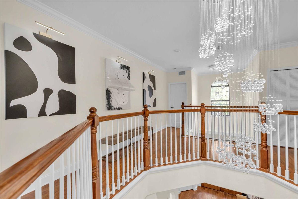 The Mason Butterfly · interior view 18 of 20 · design by Laura Pinzón, Tampa FL