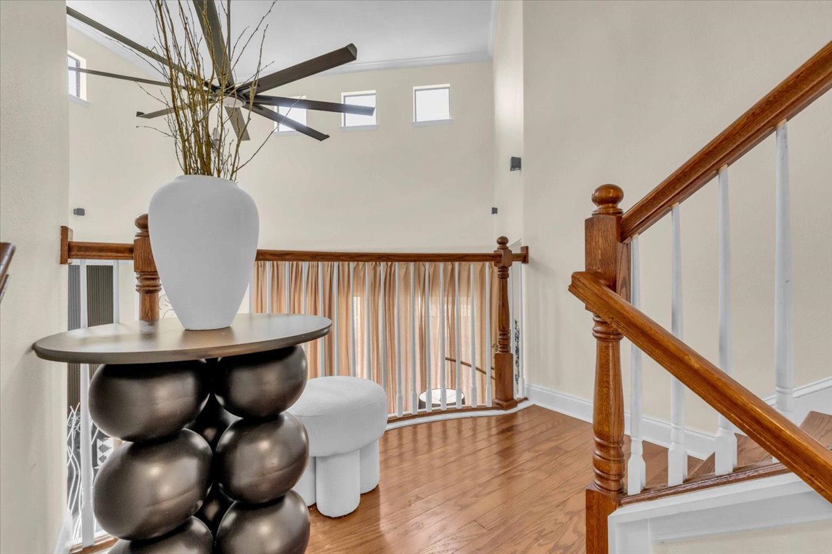The Mason Butterfly · interior view 19 of 20 · design by Laura Pinzón, Tampa FL